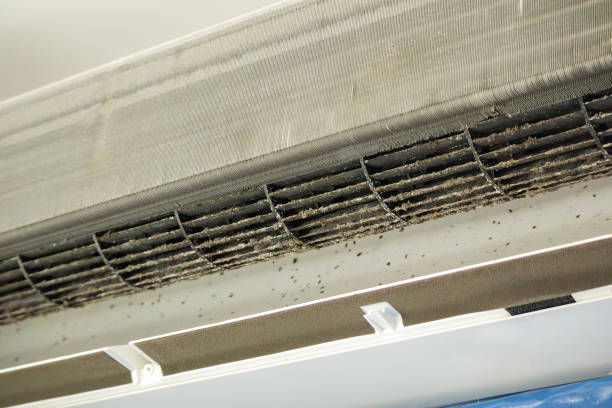 Best Professional Duct Cleaning Services  in New Tazewell, TN