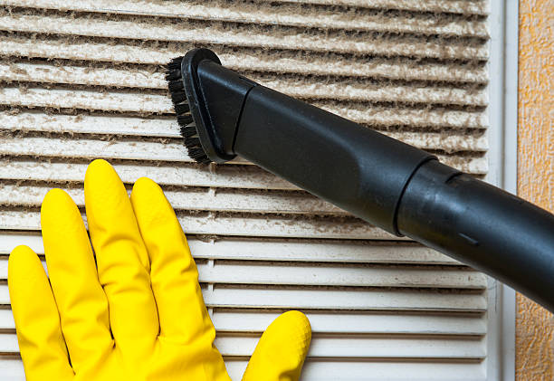 Best Emergency Air Duct Cleaning  in New Tazewell, TN